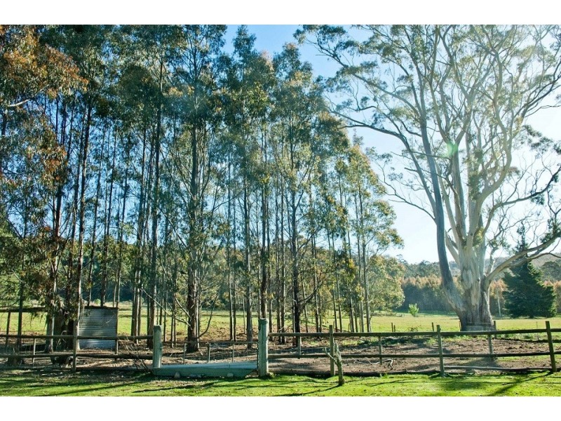 1363 Bogan Road, Golden Valley TAS 7304