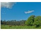 139 Maroneys Road, Quamby Brook TAS 7304
