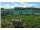 139 Maroneys Road, Quamby Brook TAS 7304