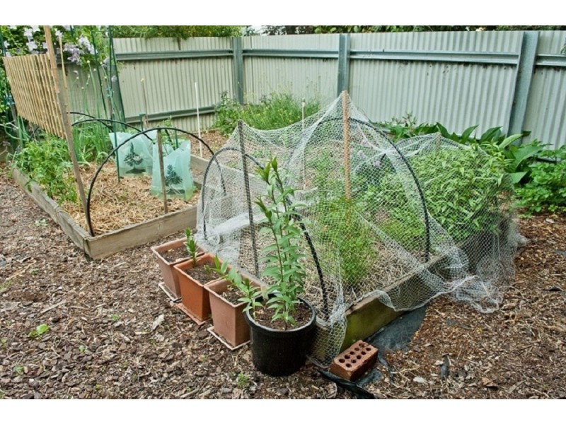 38-40 Meander Valley Road, Westbury TAS 7303