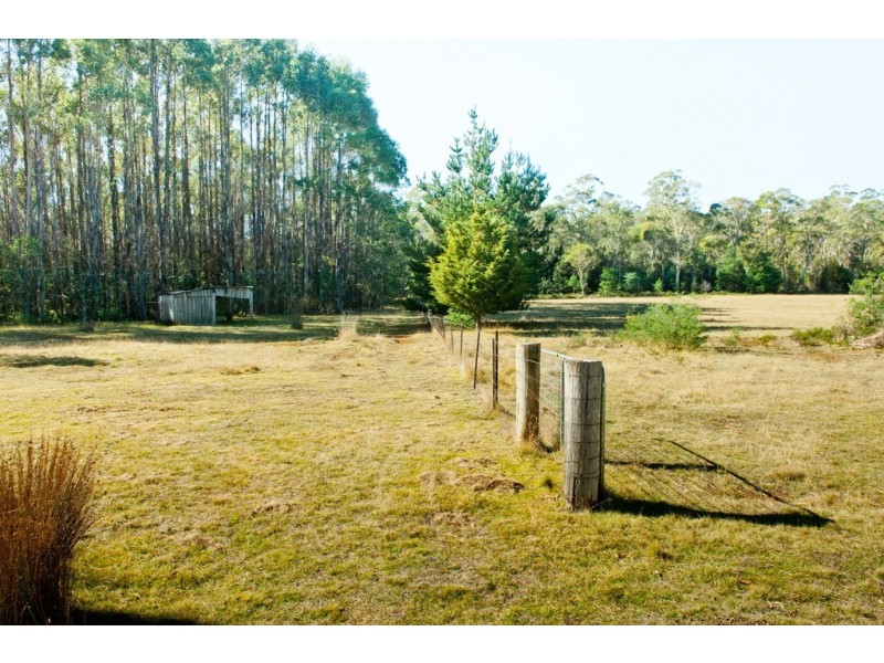 474 River Road, Reedy Marsh TAS 7304