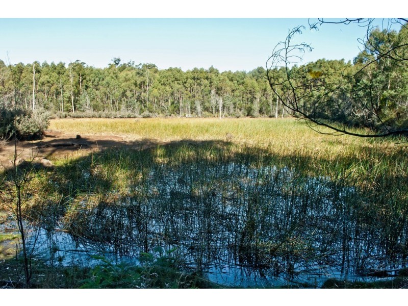 474 River Road, Reedy Marsh TAS 7304