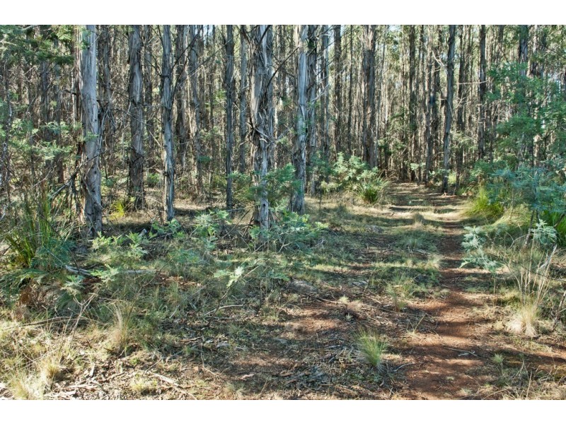 474 River Road, Reedy Marsh TAS 7304