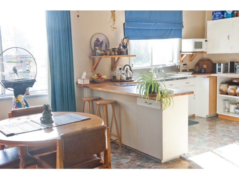 474 River Road, Reedy Marsh TAS 7304