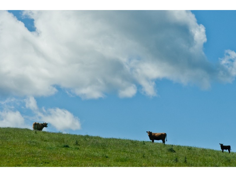 139 Maroneys Road, Quamby Brook TAS 7304