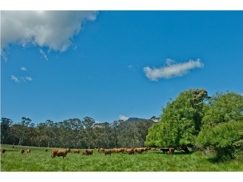 139 Maroneys Road, Quamby Brook TAS 7304