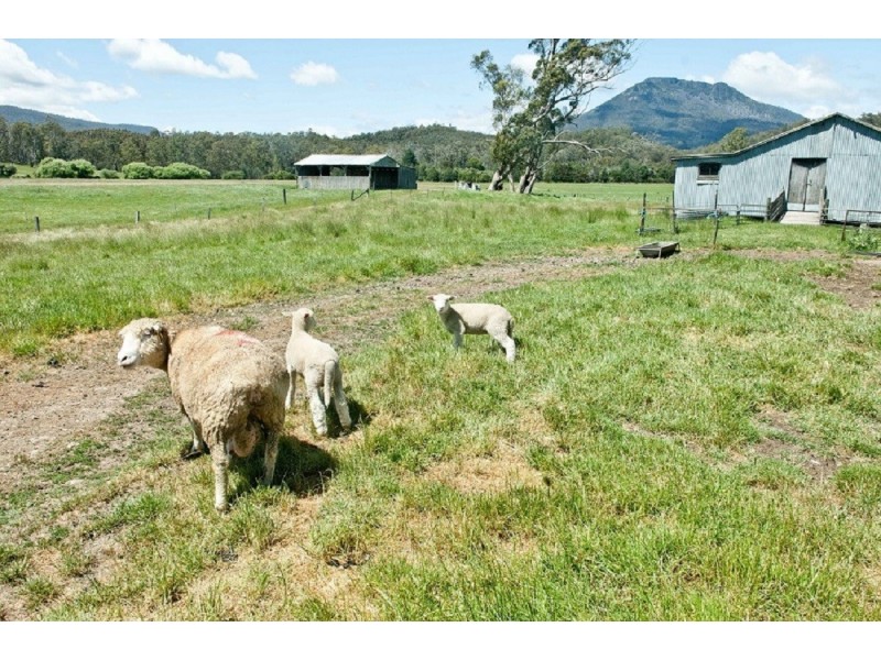 139 Maroneys Road, Quamby Brook TAS 7304