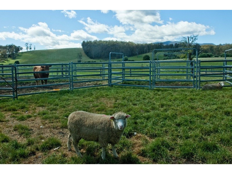 139 Maroneys Road, Quamby Brook TAS 7304