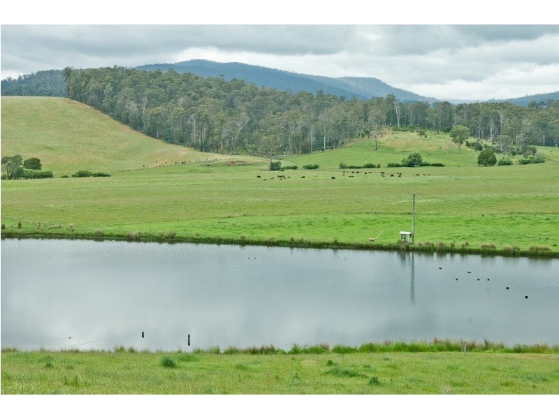 139 Maroneys Road, Quamby Brook TAS 7304