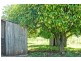 94 East Barrack Street, Deloraine TAS 7304