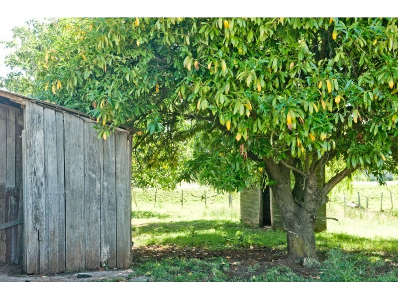 94 East Barrack Street, Deloraine TAS 7304