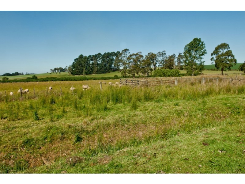 94 East Barrack Street, Deloraine TAS 7304