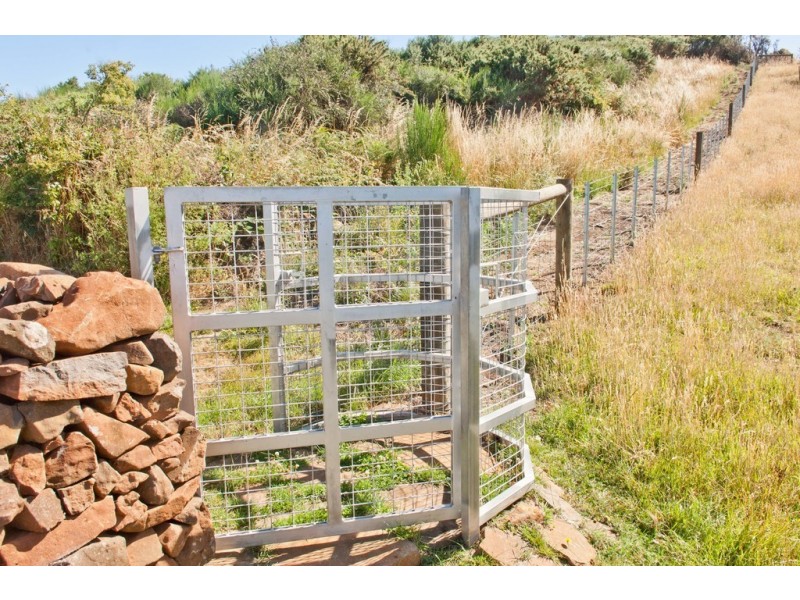 6 Tower Hill Street, Deloraine TAS 7304