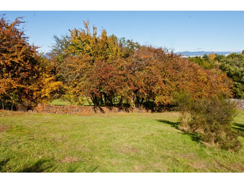 6 Tower Hill Street, Deloraine TAS 7304