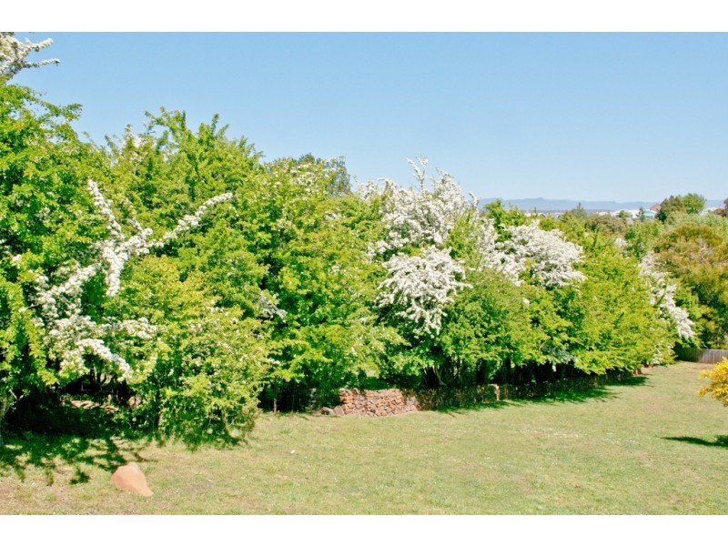 6 Tower Hill Street, Deloraine TAS 7304