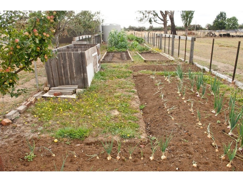 39 Marriott Street, Westbury TAS 7303