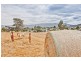 29 Caveside Road, Mole Creek TAS 7304