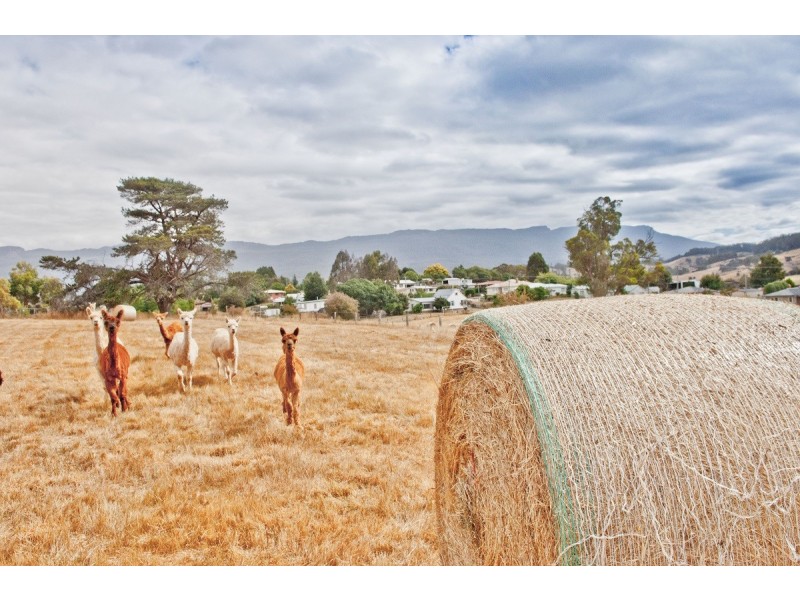 29 Caveside Road, Mole Creek TAS 7304