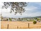 29 Caveside Road, Mole Creek TAS 7304