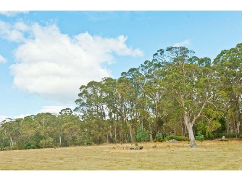 40 Quamby Brook Road, Deloraine TAS 7304
