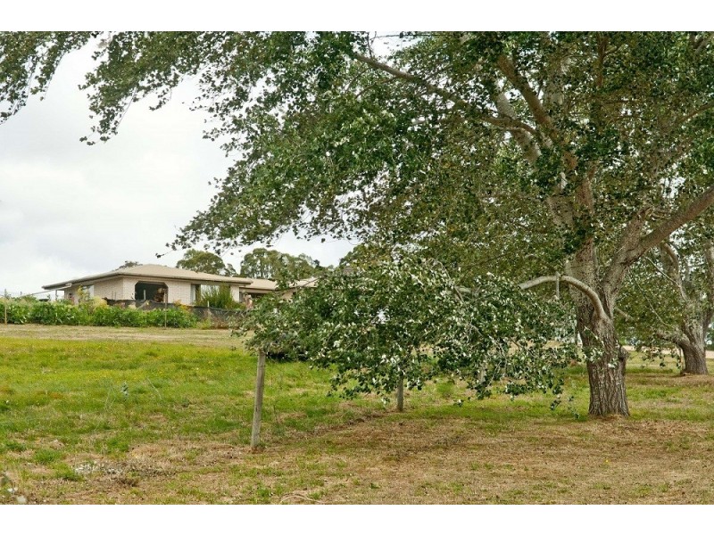 40 Quamby Brook Road, Deloraine TAS 7304
