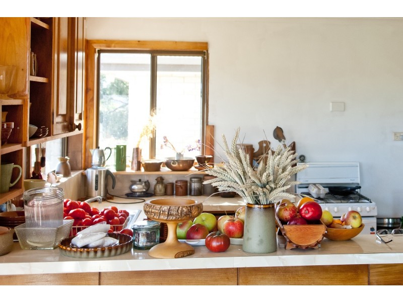 40 Quamby Brook Road, Deloraine TAS 7304