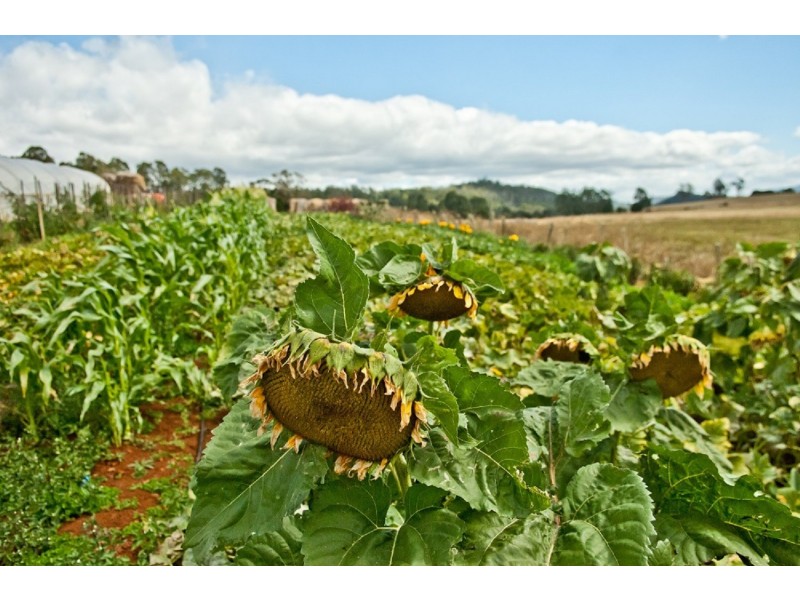 40 Quamby Brook Road, Deloraine TAS 7304