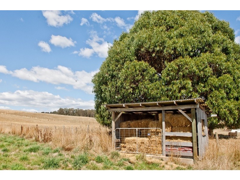 35 Caveside Road, Mole Creek TAS 7304