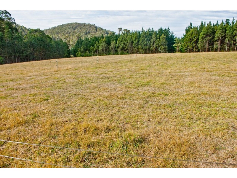 976 Claude Road, Claude Road TAS 7306