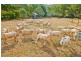 976 Claude Road, Claude Road TAS 7306