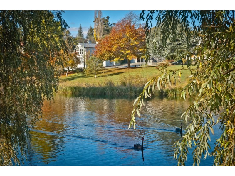 8 East Parade, Deloraine TAS 7304