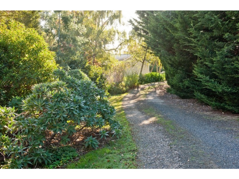 798 Black Hills Road, Westbury TAS 7303