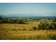 798 Black Hills Road, Westbury TAS 7303