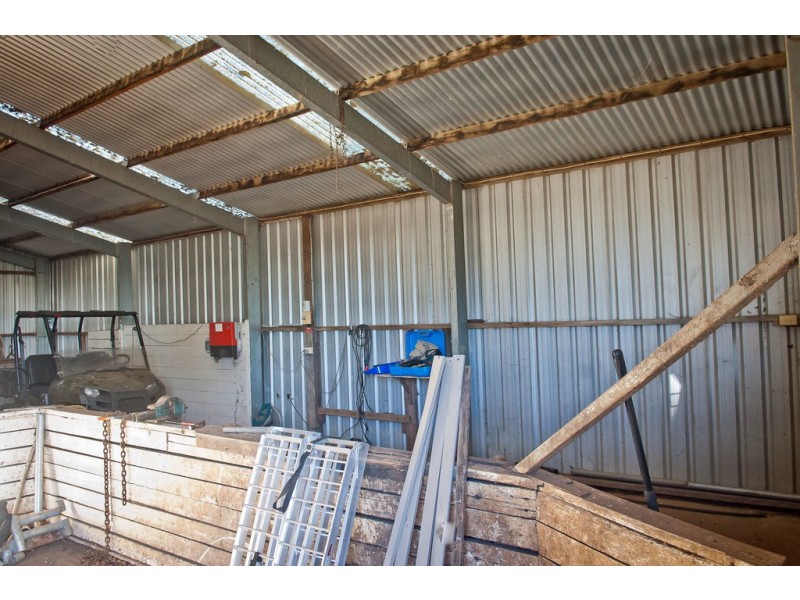 798 Black Hills Road, Westbury TAS 7303