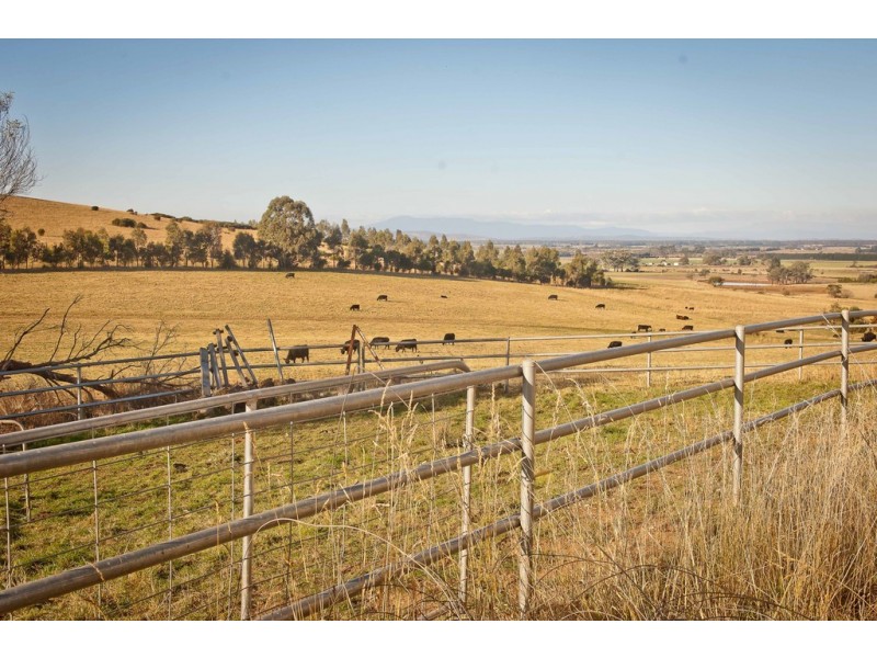 798 Black Hills Road, Westbury TAS 7303