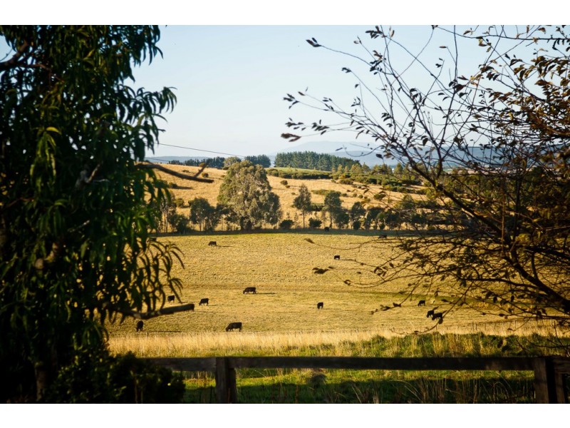 798 Black Hills Road, Westbury TAS 7303