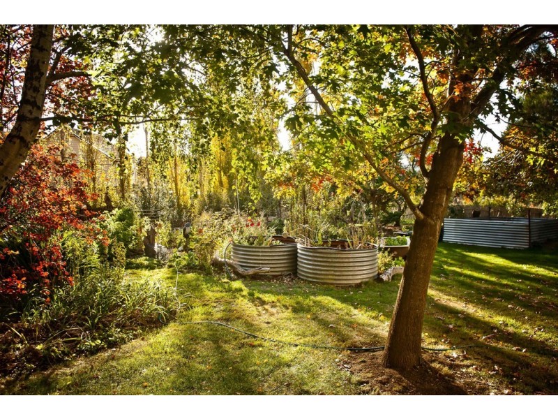 798 Black Hills Road, Westbury TAS 7303