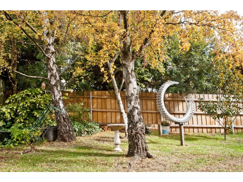 14 Parsonage Street, Deloraine TAS 7304