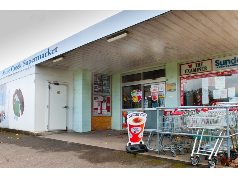 44 Pioneer Drive, Mole Creek TAS 7304