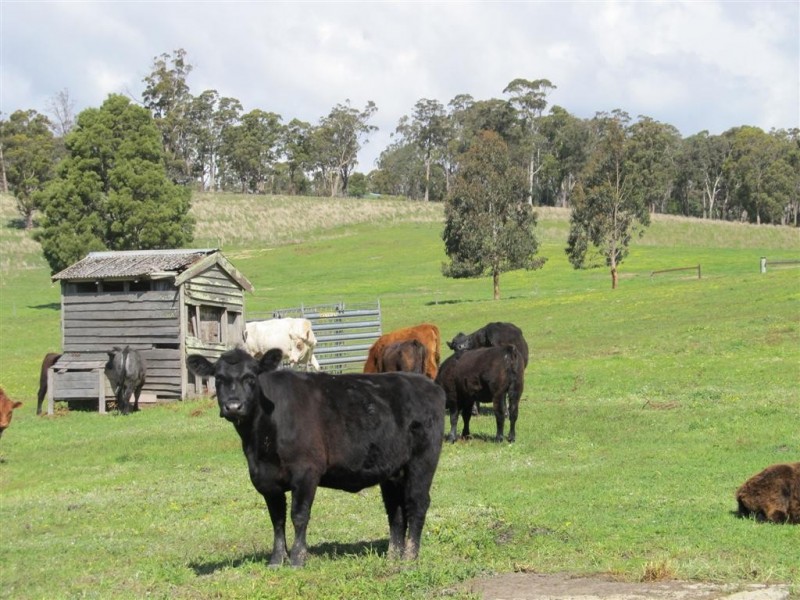 769 Osmaston Road, Westbury TAS 7303