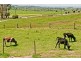 769 Osmaston Road, Westbury TAS 7303