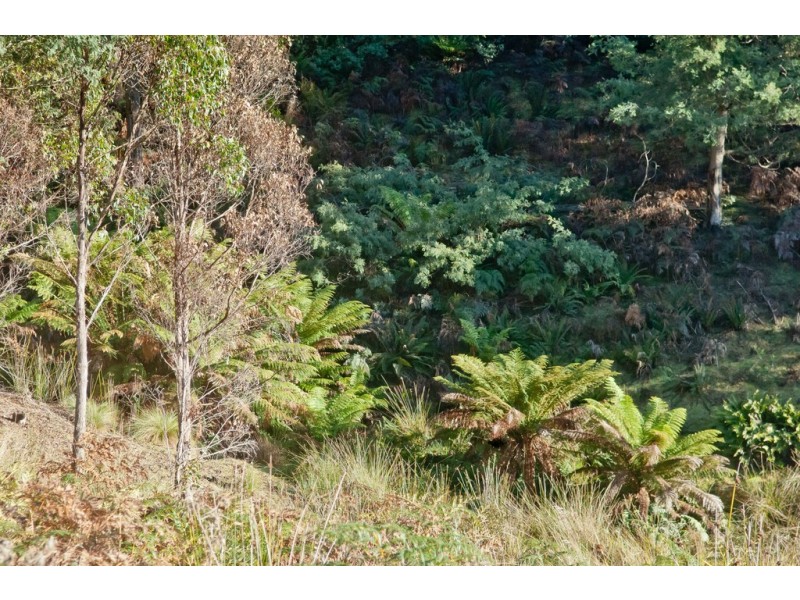 439 East Meander Road, Meander TAS 7304
