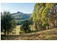 439 East Meander Road, Meander TAS 7304