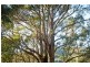 439 East Meander Road, Meander TAS 7304
