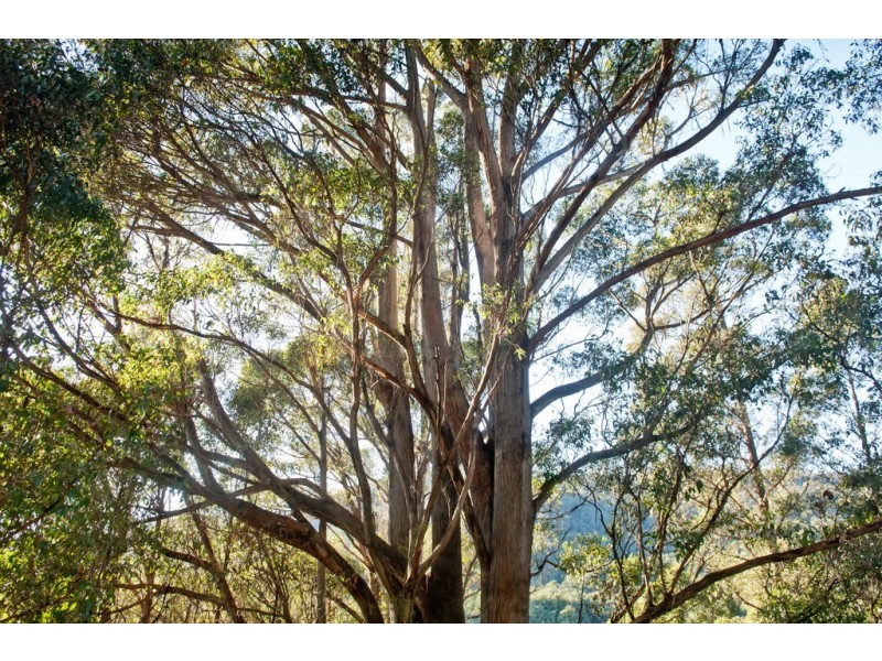 439 East Meander Road, Meander TAS 7304