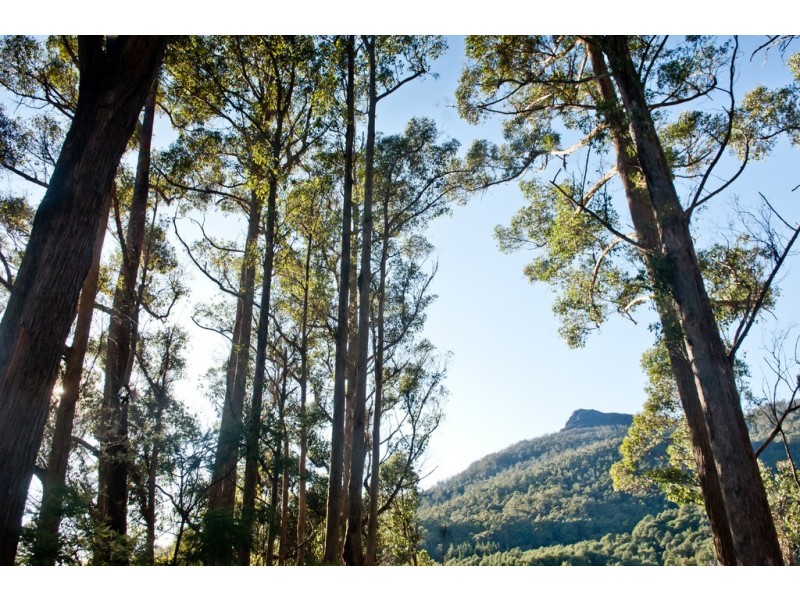 439 East Meander Road, Meander TAS 7304