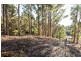439 East Meander Road, Meander TAS 7304
