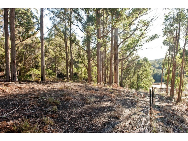 439 East Meander Road, Meander TAS 7304