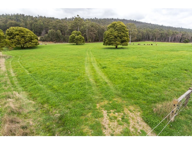 364 Liena Road, Mole Creek TAS 7304