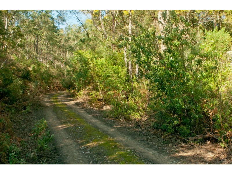 0 Crowdens Road, Western Creek TAS 7304